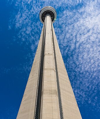 Huge tower building from frog perspective